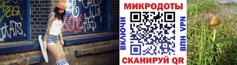 Псилоцибиновые грибы Magic Shrooms  гидра ССЫЛКА  Адыгейск 